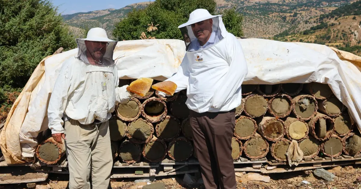 Pütürge de karakovanlar bal ile doldu