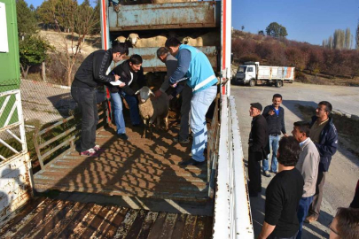 Pazarlar'da Genç Çiftçi projesi başvuruları başladı