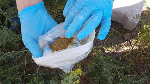 Malatya'da uyuşturucu operasyonu: 6 gözaltı