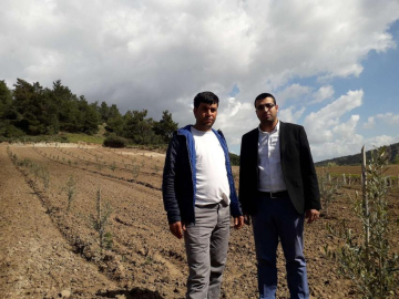 Ahmetli’nin fidanları kontrol altında
