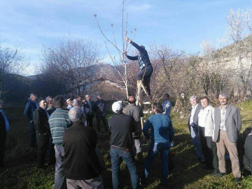 Şaphane'de 'Ağaç budama ve aşılama' kursu sona erdi