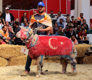 4. Teke Yöresi Tarım ve Hayvancılık Fuarı 26 Nisan'da başlıyor