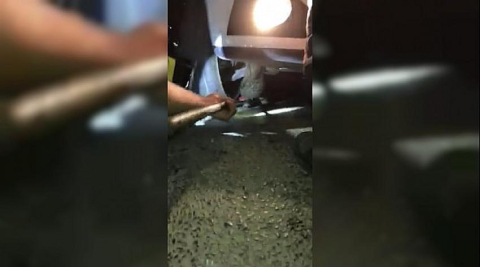 Seyir halindeki otomobilin alt kısmına sıkışan kediyi itfaiye kurtardı
