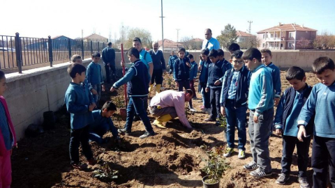 Boğazlıyan'da öğrenciler okul bahçesine gül dikti