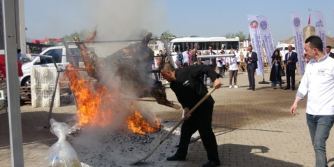 Festival için pişirilmeye çalışılan 200 kiloluk dana alev alev yandı