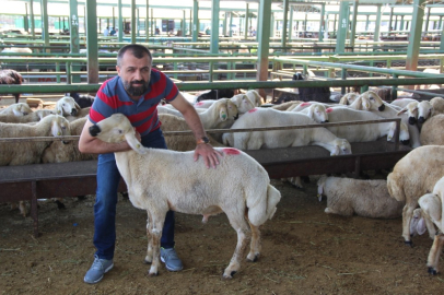 Birlik Başkanı Akın canlı hayvan pazarını ziyaret etti
