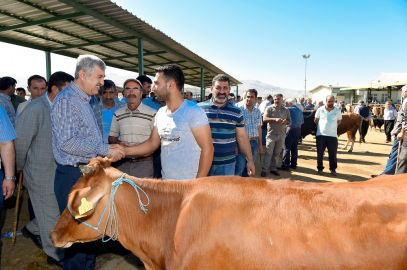 Büyükşehir, Hayvan Pazarı’nda önlemler aldı
