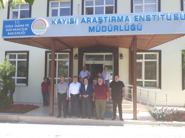 2019 ’Dünya Kayısı Sempozyumu’ Malatya’da yapılacak
