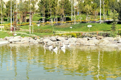 Hayvanat bahçesinde son rötuşlar yapılıyor
