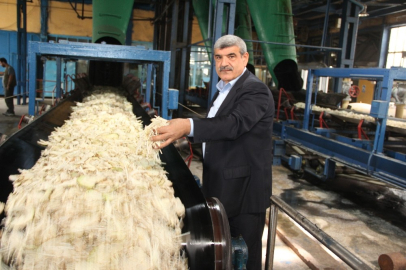 Şeker fabrikası pancar alımı
