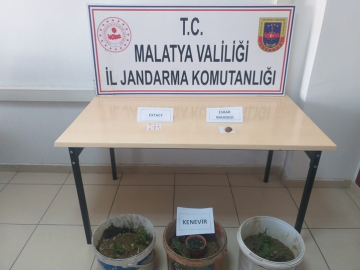 Malatya’da uyuşturucu operasyonu: 1 tutuklama
