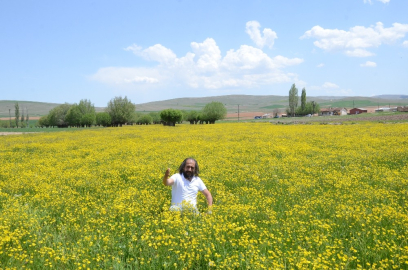 Darende sarıya boyandı
