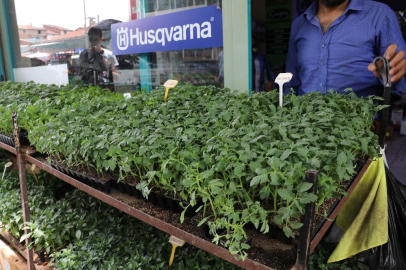 (Özel) Yüksek fiyatlar vatandaşı sebze üretimine yöneltiyor

