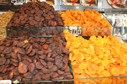 Kayısının başkenti Avrupa macerasına hazır
