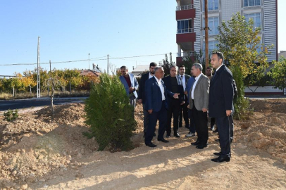 5 Yılda 203 park