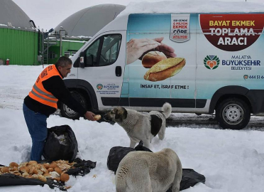 Sokak ve yaban hayvanlarına yiyecek