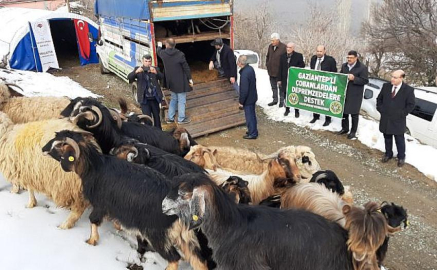 Çobanlardan, koyun-keçi desteği