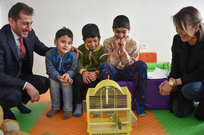 Terapide muhabbet kuşu