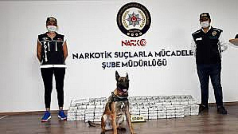 14 torbacıdan 12’si tutuklandı