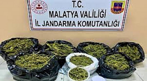 Özel ekip, Feribotta esrar ele geçirdi.
