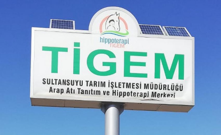 Sultansuyu Harasının da kalemi kırıldı