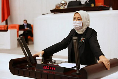 Cumhuriyet, ilham kaynağı olmuştur