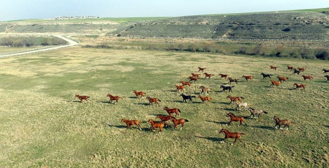 Sultansuyu'nun kalemi çoktan kırılmış!