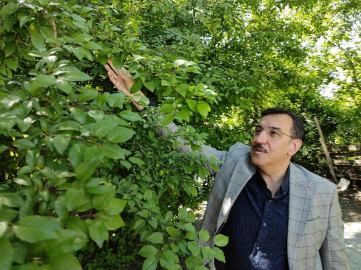 Tüfenkçi;” Az veya çok yardımcı olmayı..."