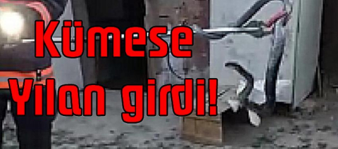 Kümese yılan girdi