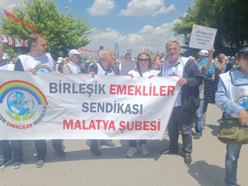 Göktaş: Emeklinin Derdine Derman Olmadılar