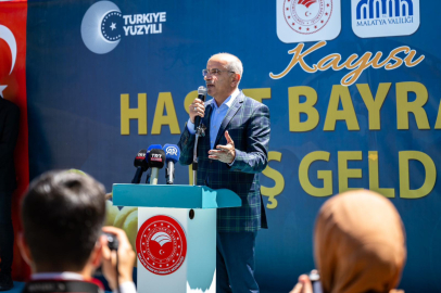 KAYISI FESTİVALİ 19-21 TEMMUZ'DA YAPILACAK