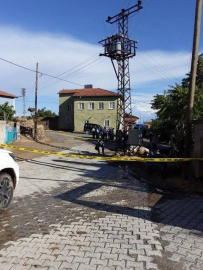 Arguvan'da Elektrik Trafosu İneği Çarptı