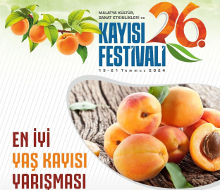 EN İYİ MALATYA KAYISILARI SEÇİLİYOR