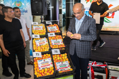 Malatya'nın En İyi Kayısıları Seçildi