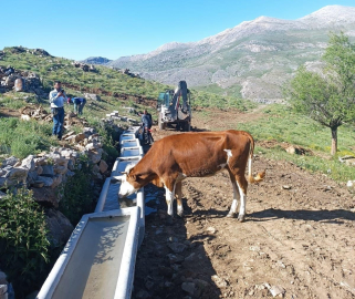 Doğanşehir Belediyesi Yayladaki Hayvanları Unutmadı