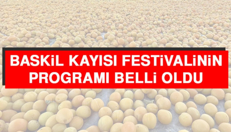 Malatya'nın Yapamadığı Festivali Baskil Yapıyor