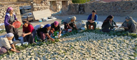 Meşe Yaprağına serilen Tarhana Bir Başka Güzel Olur