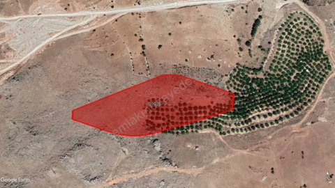 TOKİ Malatya'da Arsa Satışı Yapacak