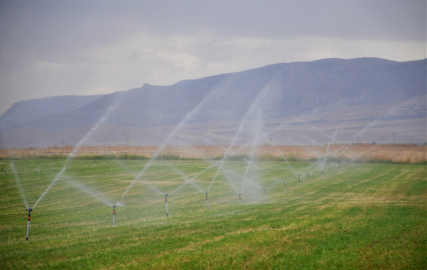 Malatya'da 384 Bin 700 Dekar Arazi Suya Kavuştu 