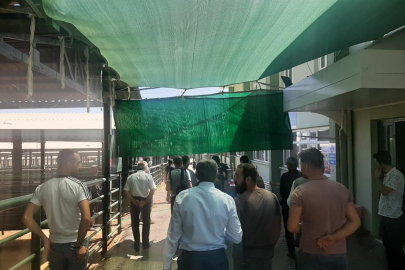 Malatya Hayvan Pazarı Geçici Süreyle Kapatıldı