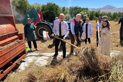 Doğanşehir'de Karabuğdayın Hasadı Yapıldı