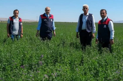 Yazıhan Ovası Malatya'yı Doyuracak