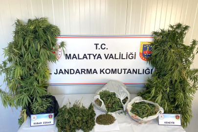 Malatya'da Uyuşturucu ve Tarihi Eser Ele Geçirildi