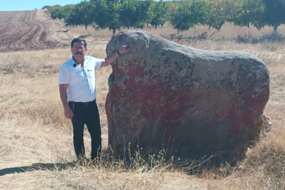Darende'de Tarihi Aslanlar sahipsiz kaldı