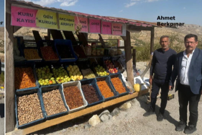 Akçadağ Armudu 150 Lira!