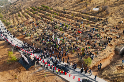 Deprem Şehitleri Hatıra Ormanı Yenileniyor