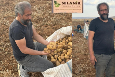 Darende de Patates Üretiminde Rekor Hasılat