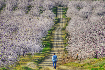 Sergilenmeye Değer Ödülü Aldı