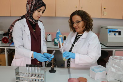 Çiğ Sütteki Sessiz Tehlikeyi Ortaya Çıkardı