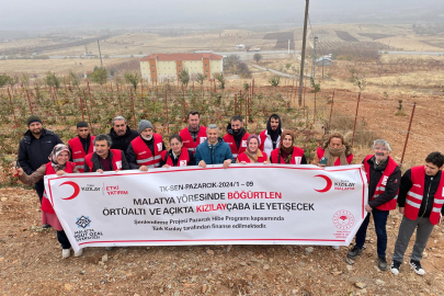 Malatya'da Örtüaltı Böğürtlen Yetiştirilecek